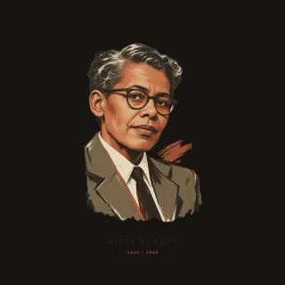 Pauli Murray, wabi sabi artwork